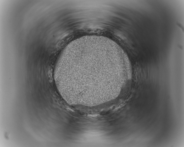 X0000098151013200805151159