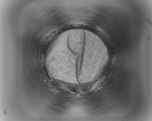 X0000098151014200805151159