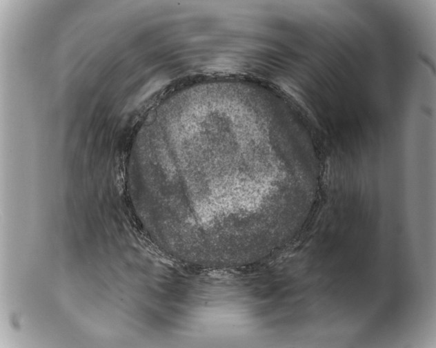 X0000098151015200805151159