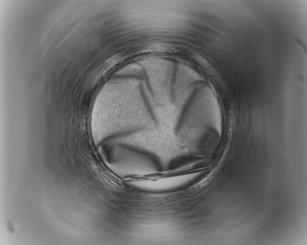 X0000098151017200805151200