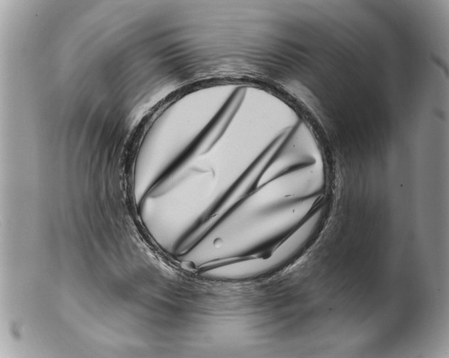 X0000098151018200805151200