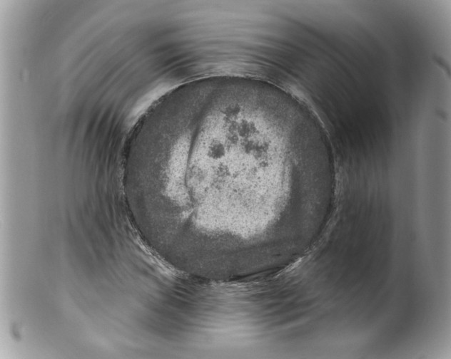 X0000098151019200805151200
