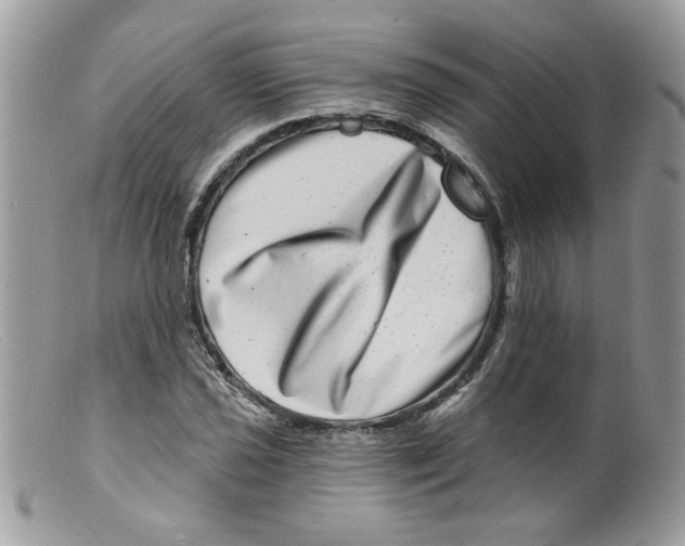 X0000098151021200805151200