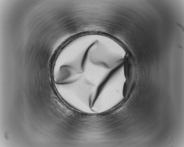 X0000098151022200805151200