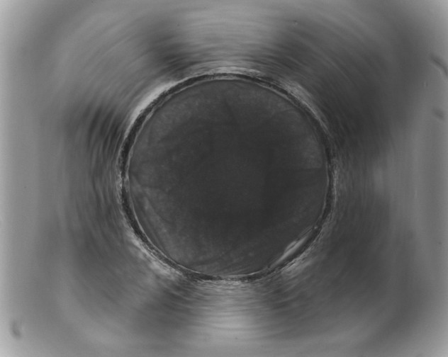 X0000098151024200805151200