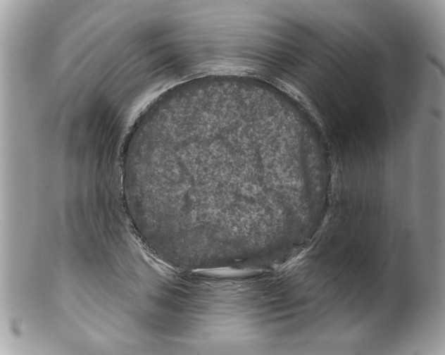 X0000098151027200805151200
