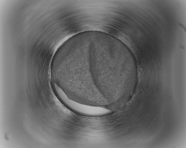 X0000098151028200805151200