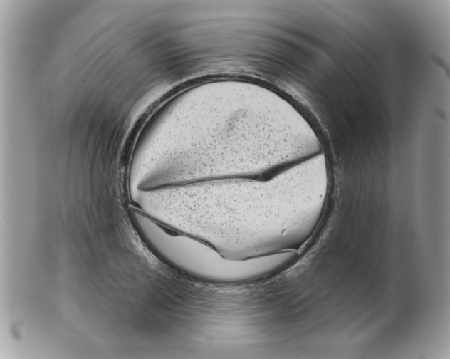 X0000098151029200805151200