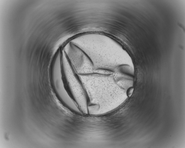 X0000098151030200805151200