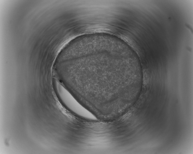 X0000098151031200805151200
