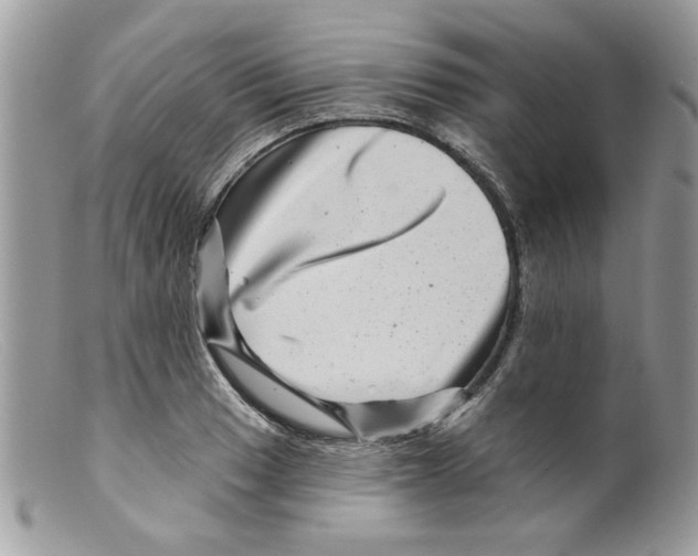 X0000098151033200805151200
