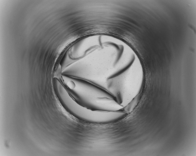 X0000098151034200805151200