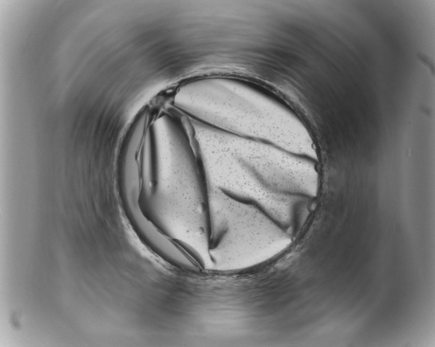 X0000098151038200805151200