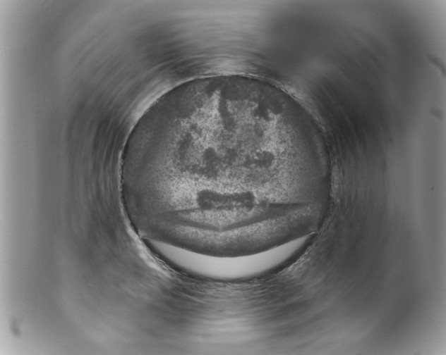 X0000098151039200805151200