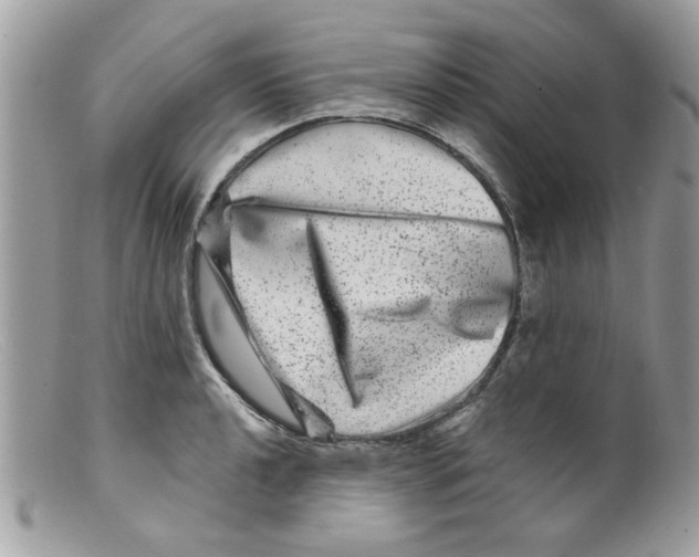 X0000098151040200805151200