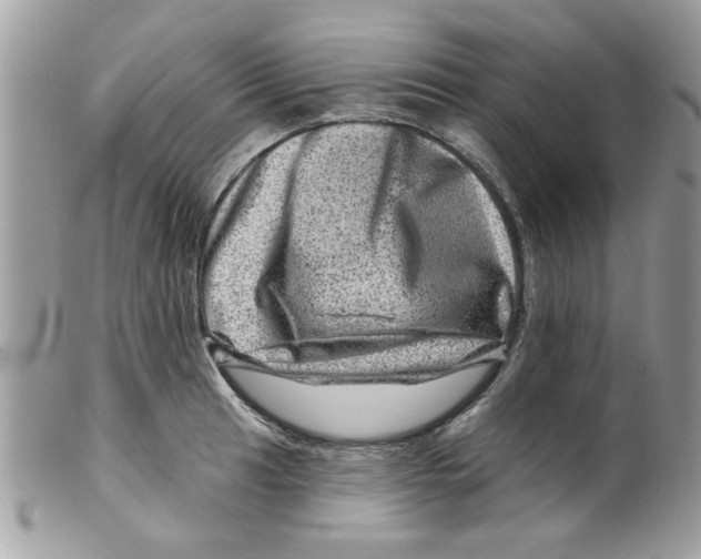 X0000098151041200805151200