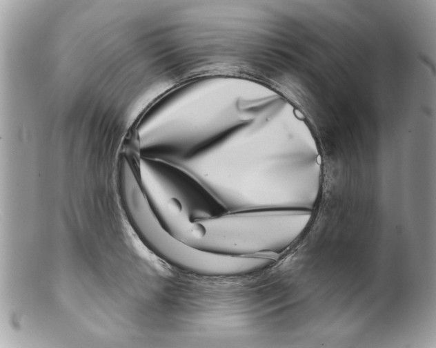 X0000098151042200805151200