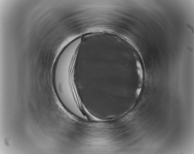 X0000098151045200805151200