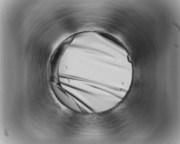 X0000098151046200805151200