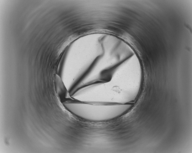 X0000098151049200805151200