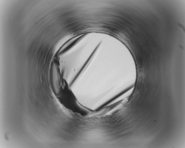 X0000098151050200805151200
