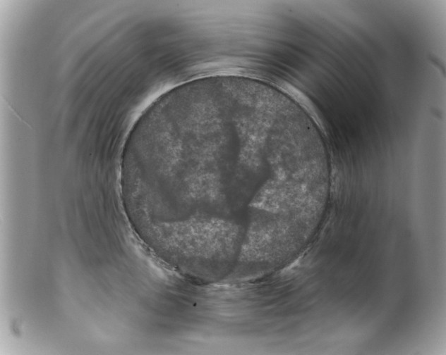 X0000098151051200805151200