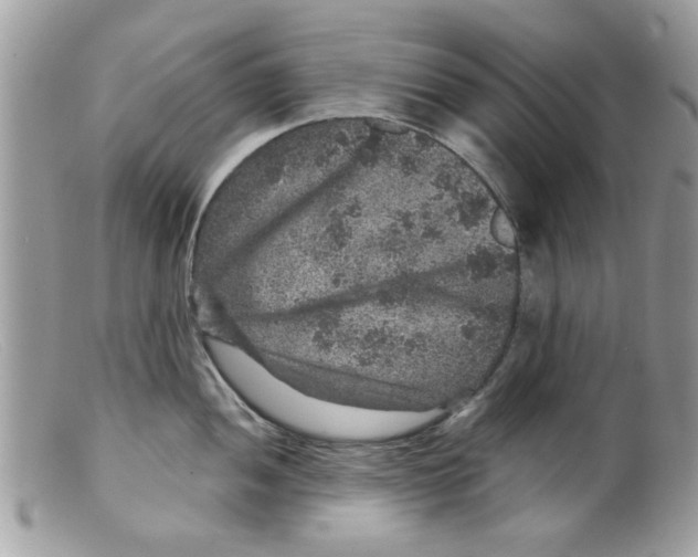 X0000098151052200805151200