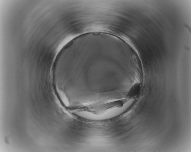 X0000098151053200805151200