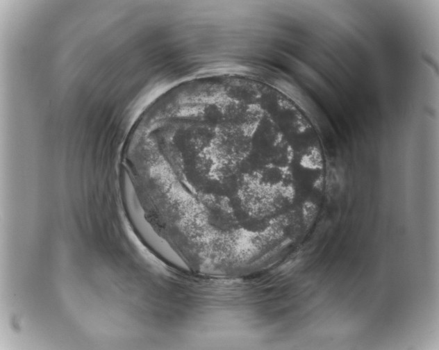 X0000098151055200805151200