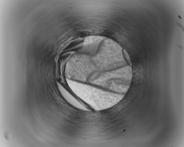 X0000098151058200805151159