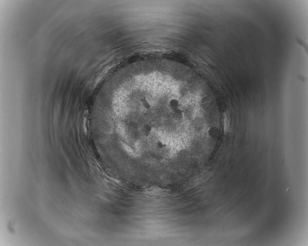 X0000098151059200805151159