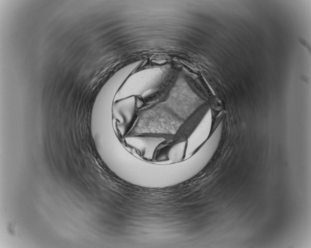 X0000098151060200805151159
