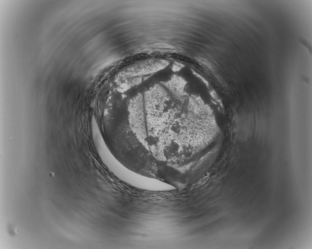 X0000098151063200805151159