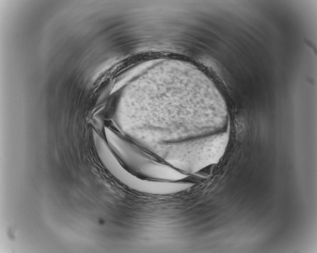 X0000098151064200805151159