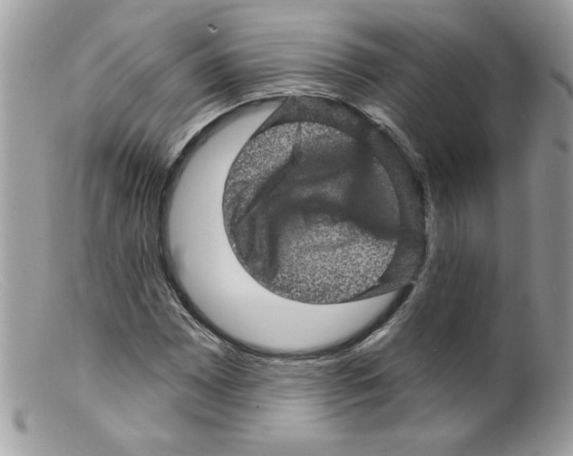 X0000098151065200805151159