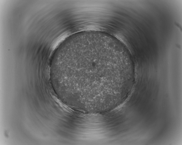 X0000098151067200805151159