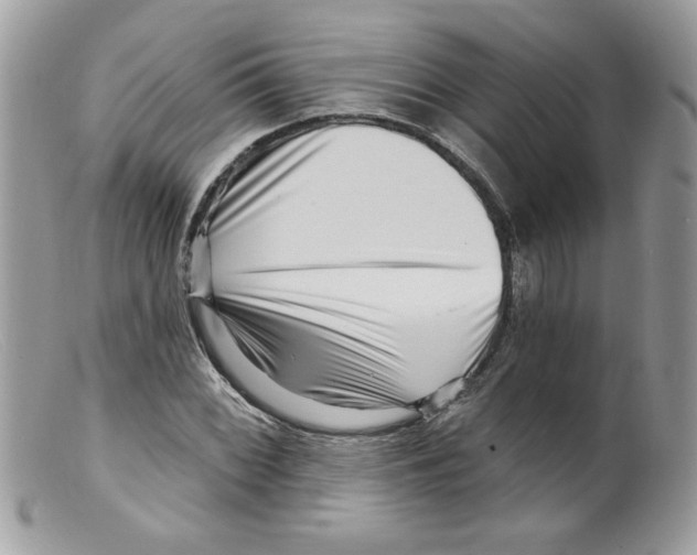 X0000098151068200805151159