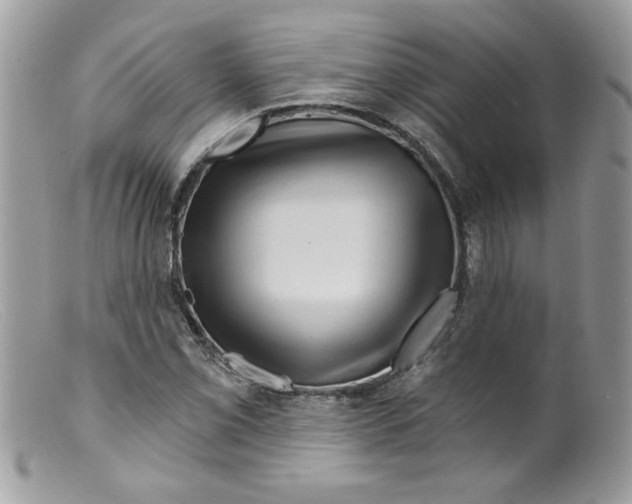 X0000098151069200805151159