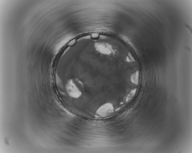 X0000098151071200805151159