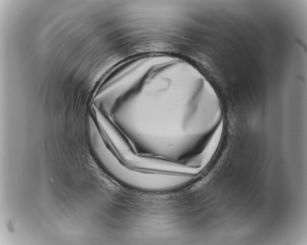 X0000098151073200805151159
