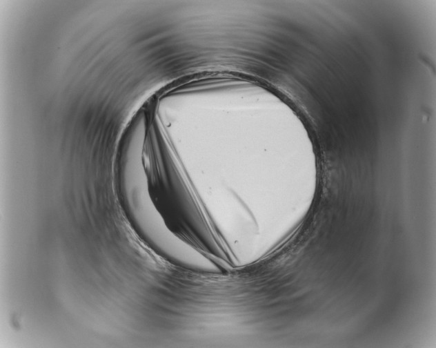 X0000098151076200805151159