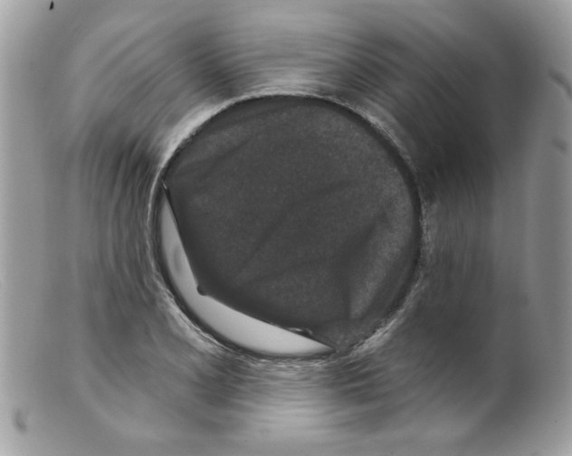 X0000098151077200805151159