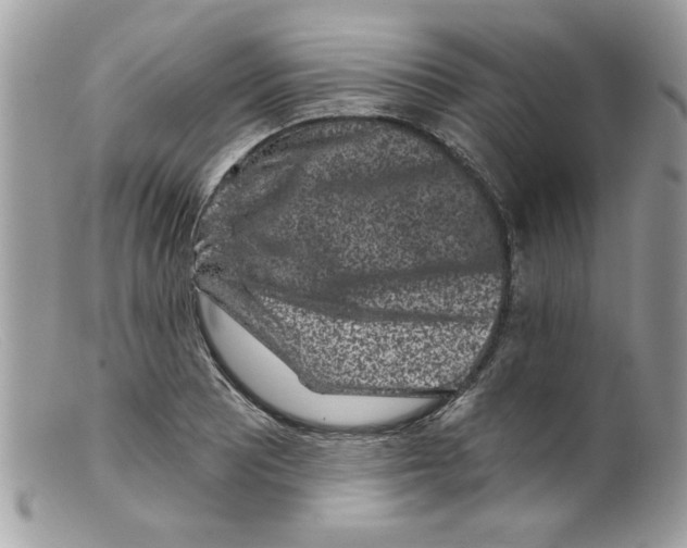 X0000098151081200805151159