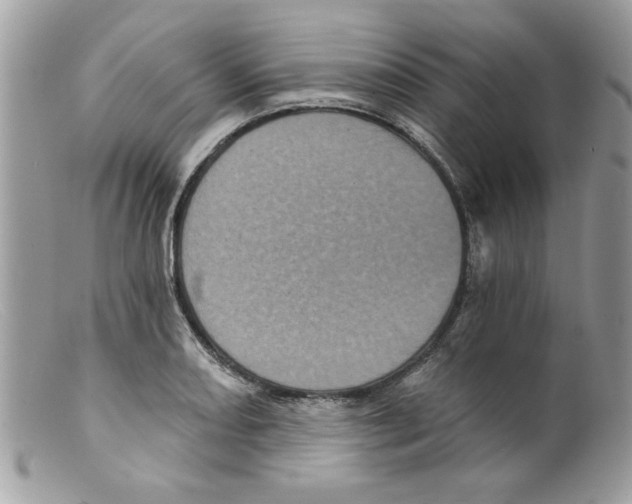 X0000098151082200805151159