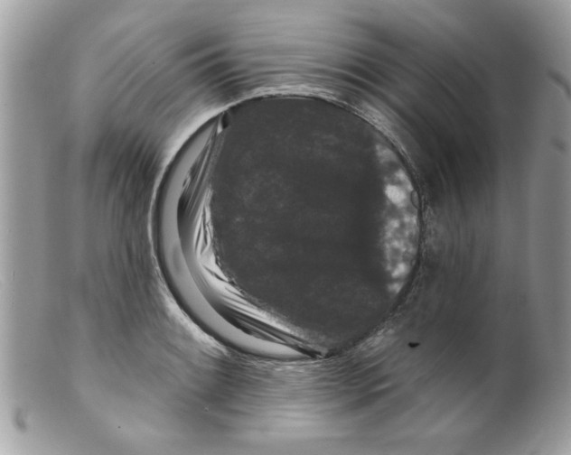 X0000098151084200805151159
