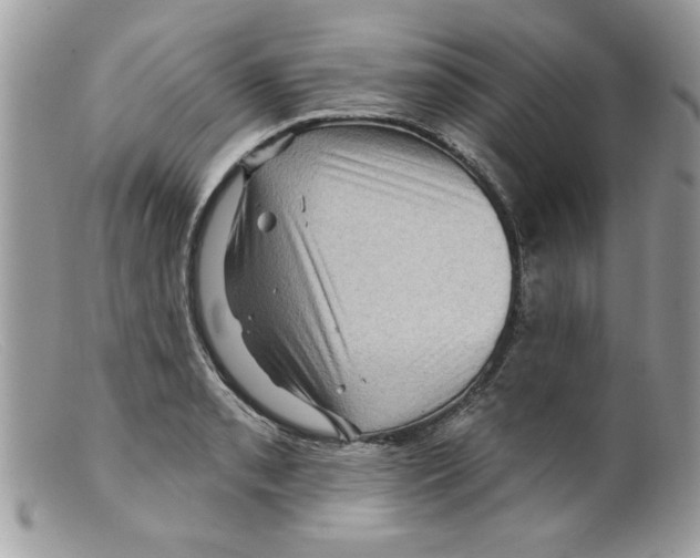 X0000098151085200805151159