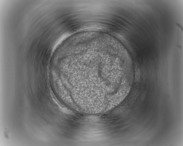 X0000098151086200805151159