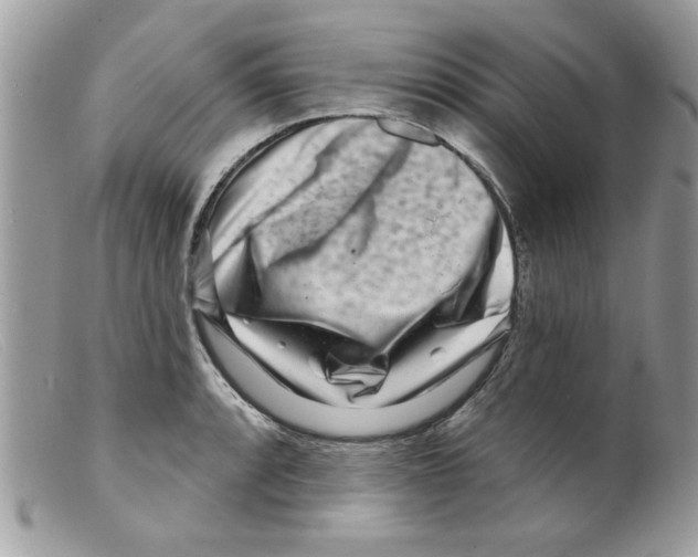 X0000098151088200805151159