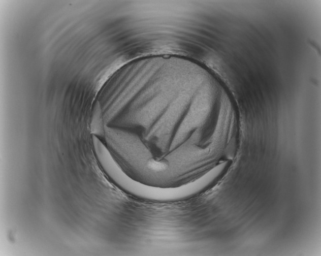X0000098151089200805151159