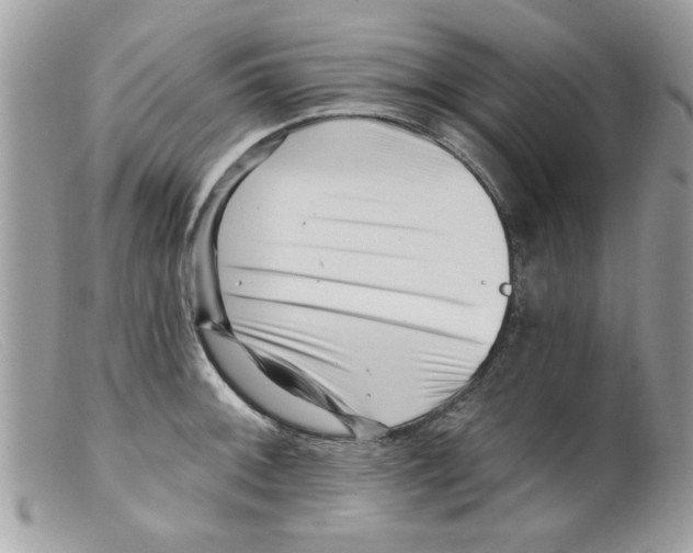 X0000098151092200805151159